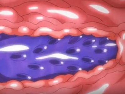 Thumbnail of post image 055